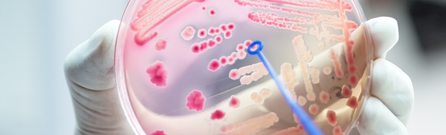 The Increasing Demand of Antimicrobials - Blog